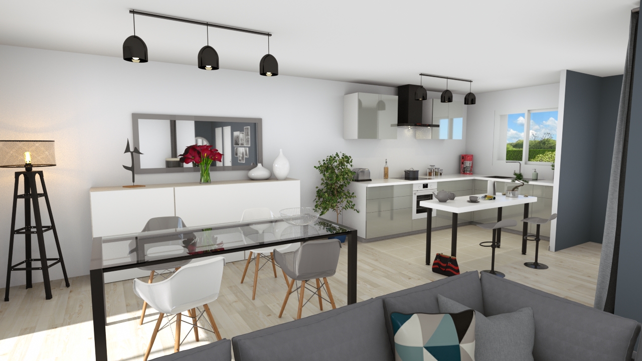 Programme Terrain + Maison