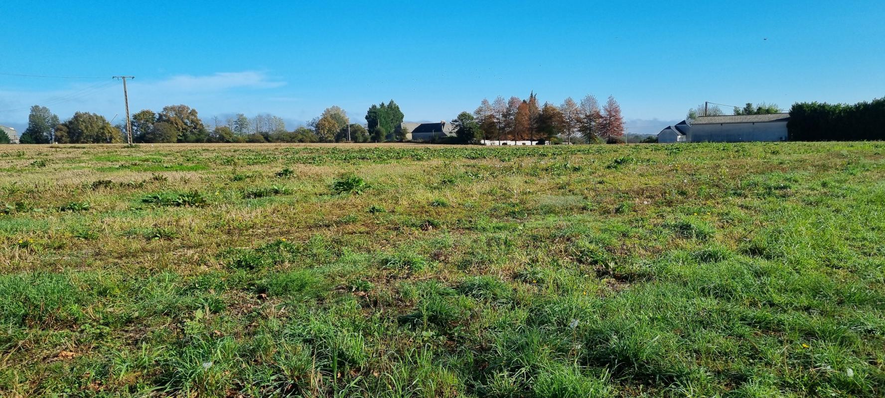 Terrain À Vendre