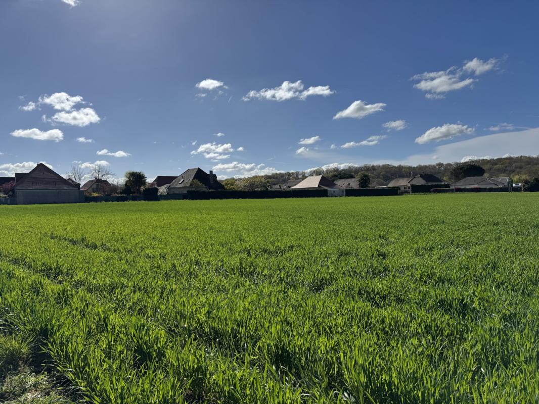 Terrain à bâtir