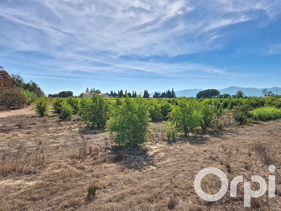 Terrain agricole de 73a 85ca pour exploitation