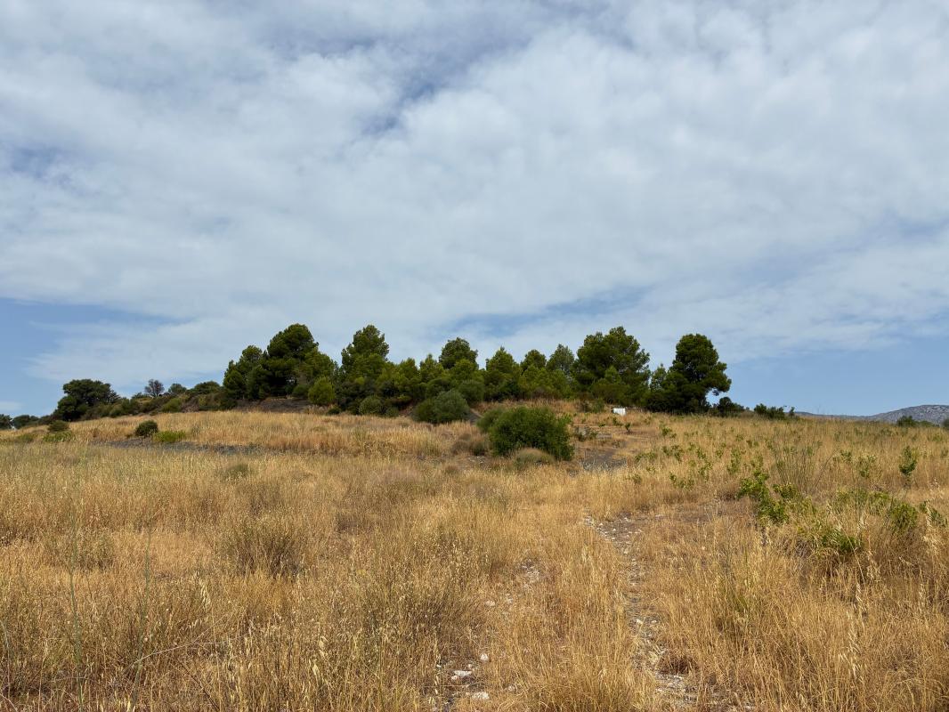 Terrain de loisirs de plus d'1,3 hectare au cœur de la nature – Cases-de-Pène