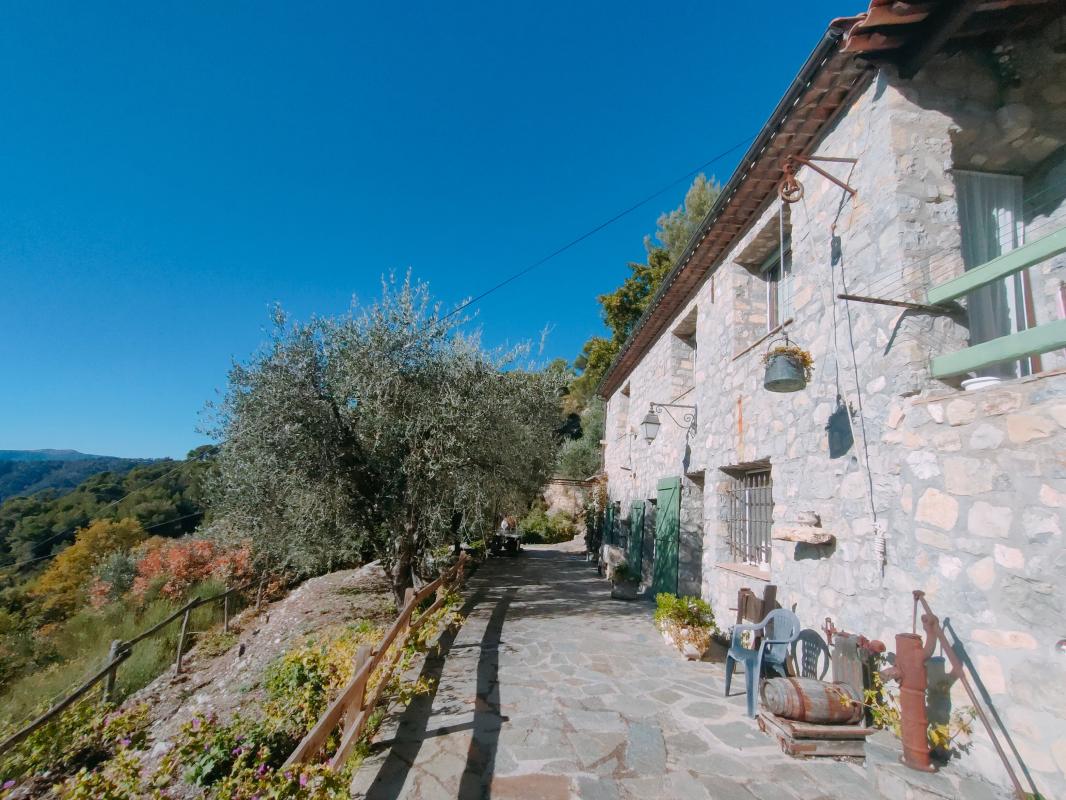 A vendre très belle propriété avec oliveraie à L'Esacrène