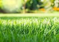 Terrain constructible 601m², viabilisé
