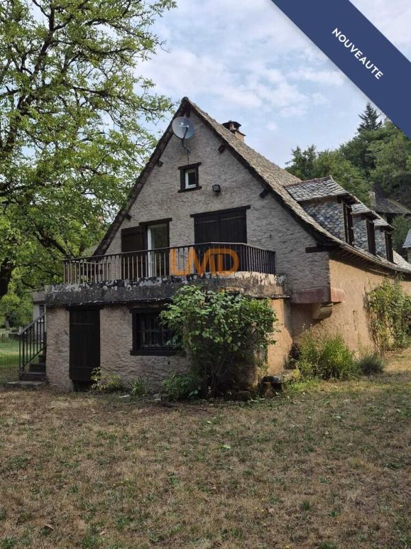 Ancien moulin en pierre rénové avec terrain