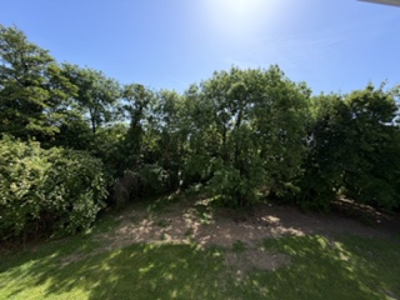 T1 - Photo 2