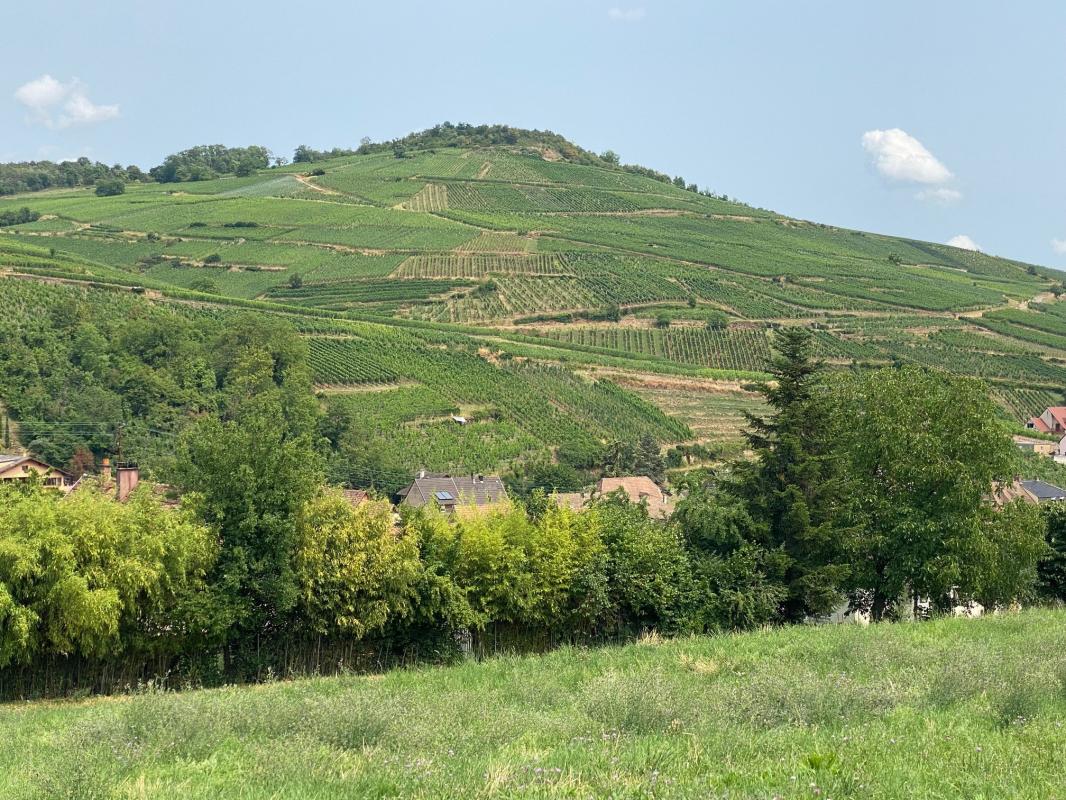 Begi