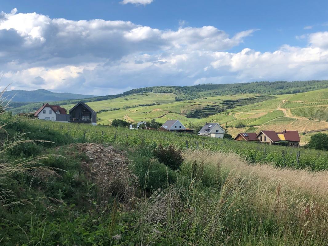 Begi