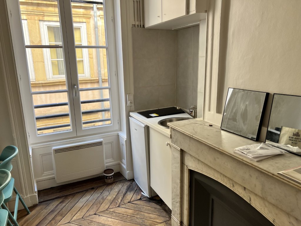 T1 MEUBLE PLACE FERNAND REY LYON 1ER - Photo 4