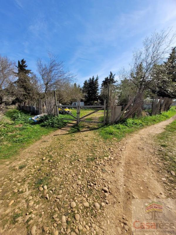 Terrain agricole