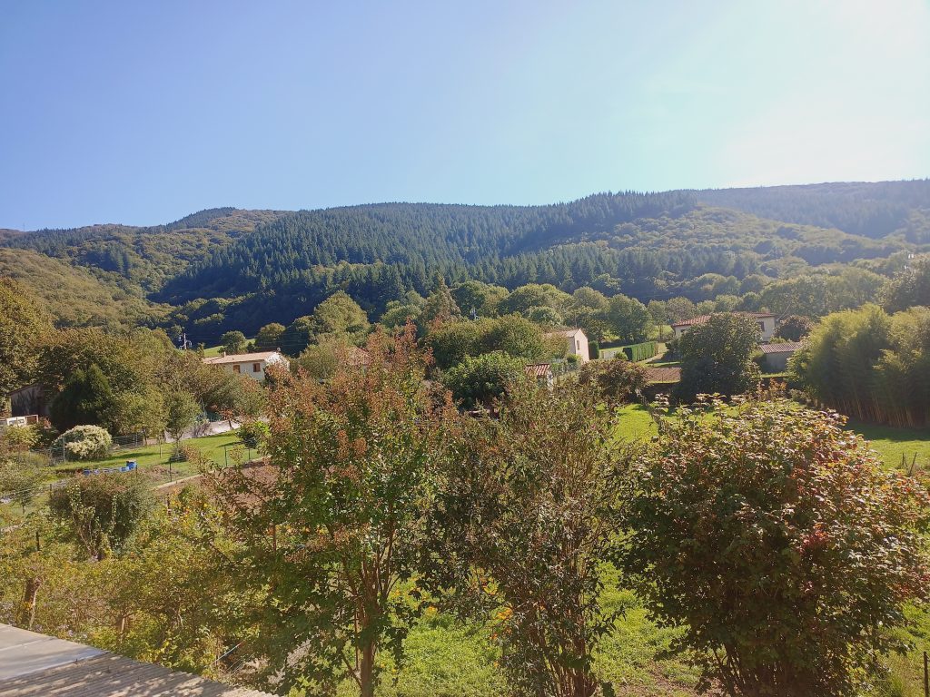 A VENDRE - MAISON - LACABAREDE - 81240 - Photo 4