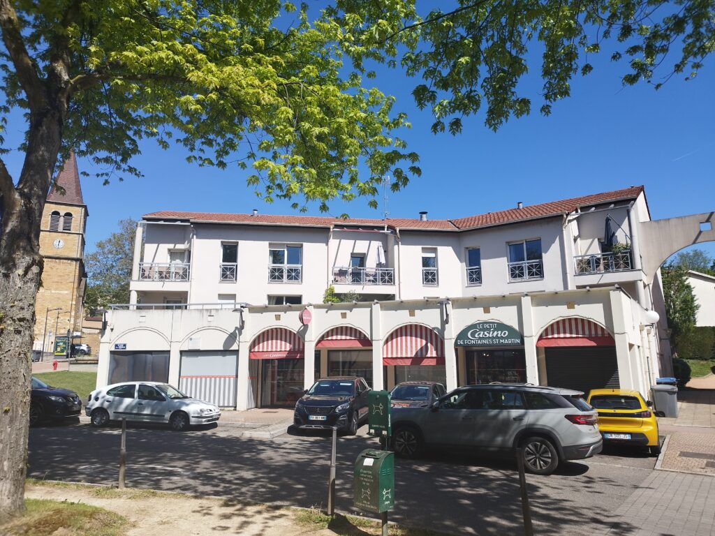 Appartement à vendre, 5 pièces, 140 m², Fontaines Sur Saone
