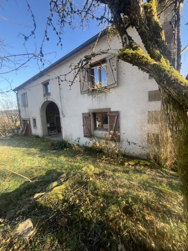 70280 SAINT BRESSON A VENDRE FERME