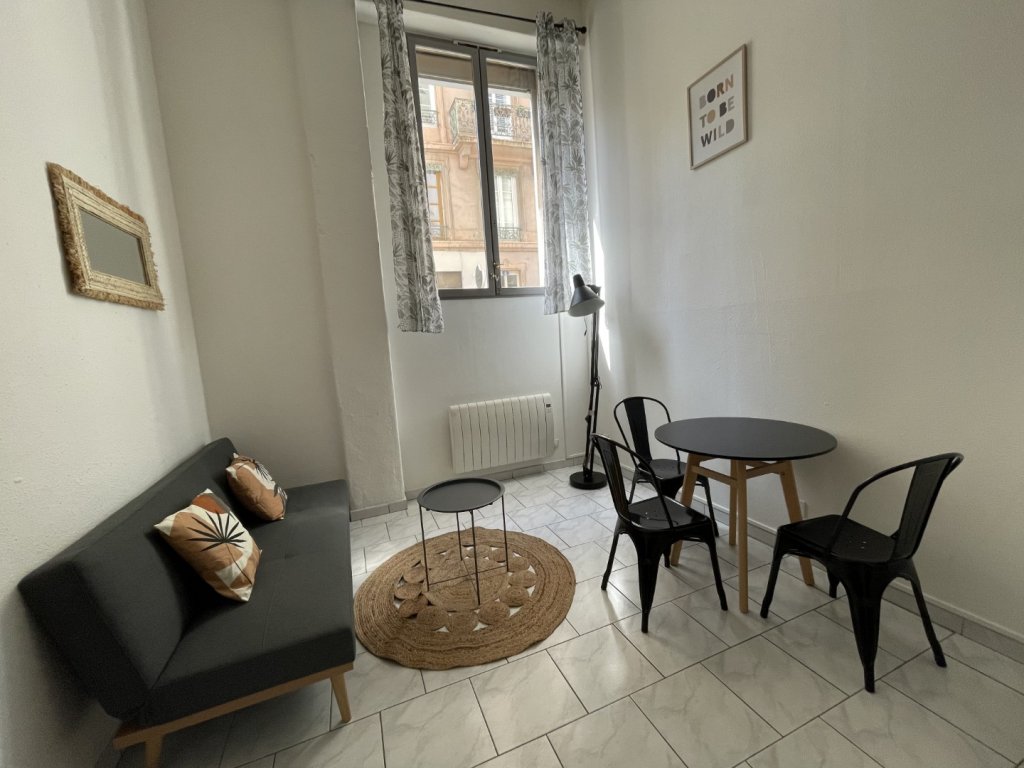 Appartement à louer, 1 pièces, 26 m², Lyon 7eme Arrondissement