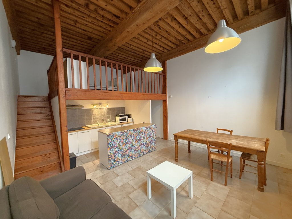 Appartement à louer, 1 pièces, 43 m², Lyon 4eme Arrondissement