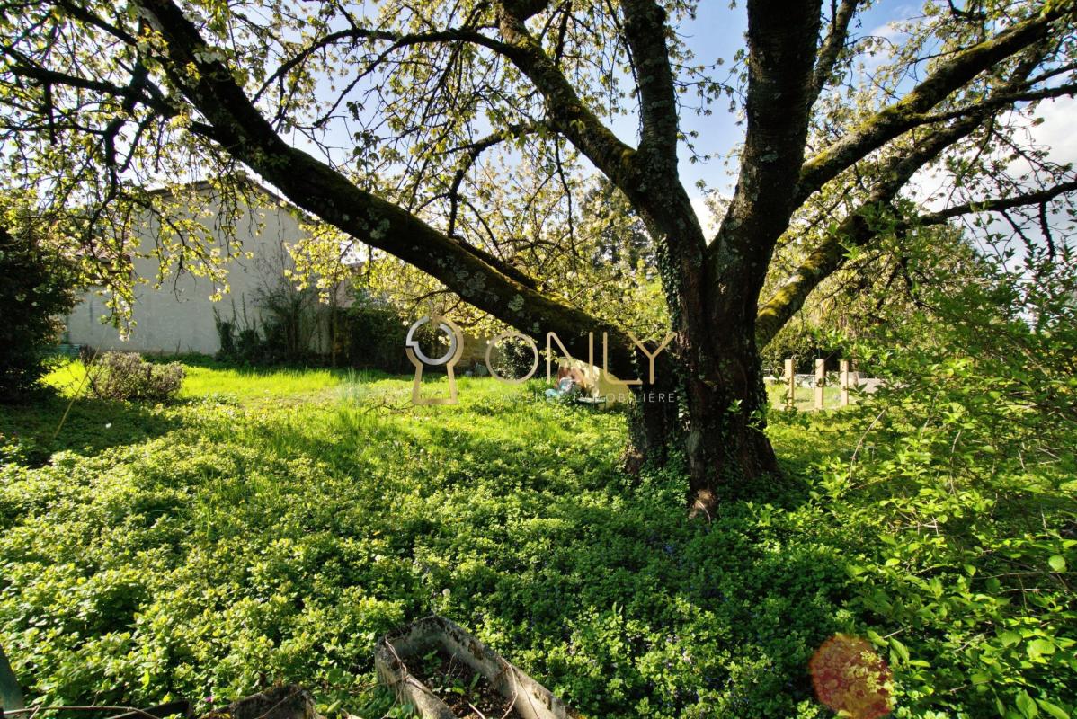 Chasselay - Terrain constructible de 541 m²