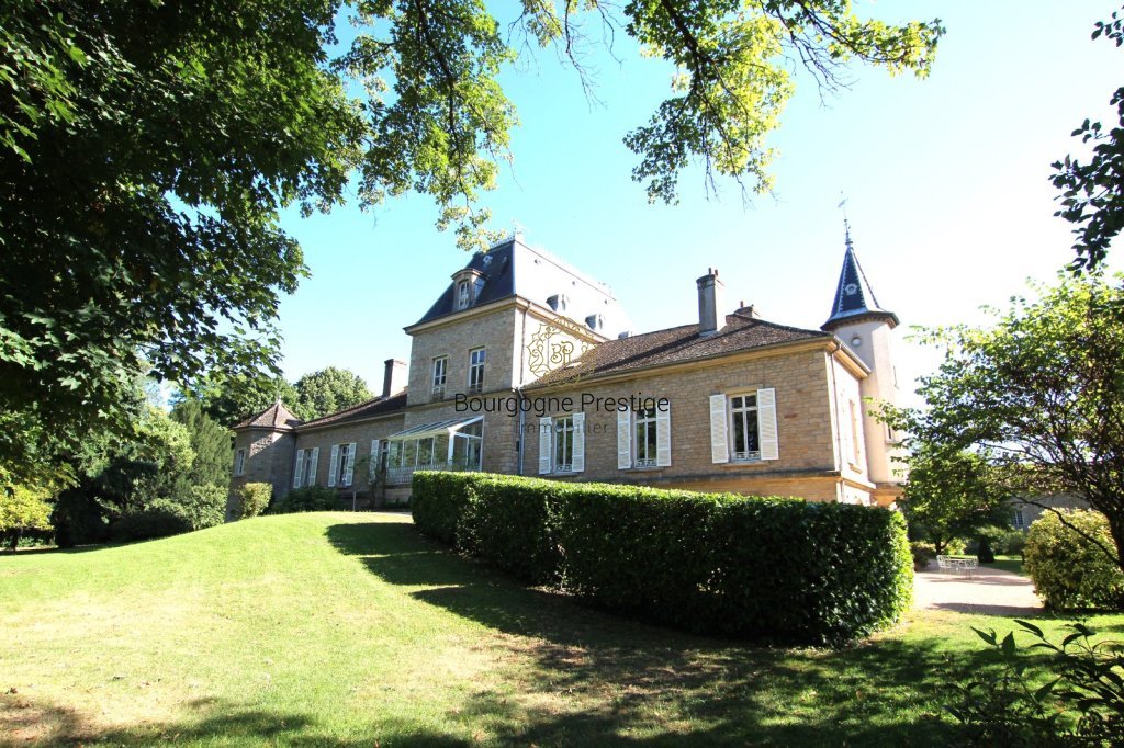 A 15 MIN. DE MACON UNE SOMPTEUSE DEMEURE DU XIXe SIECLE - Photo 2