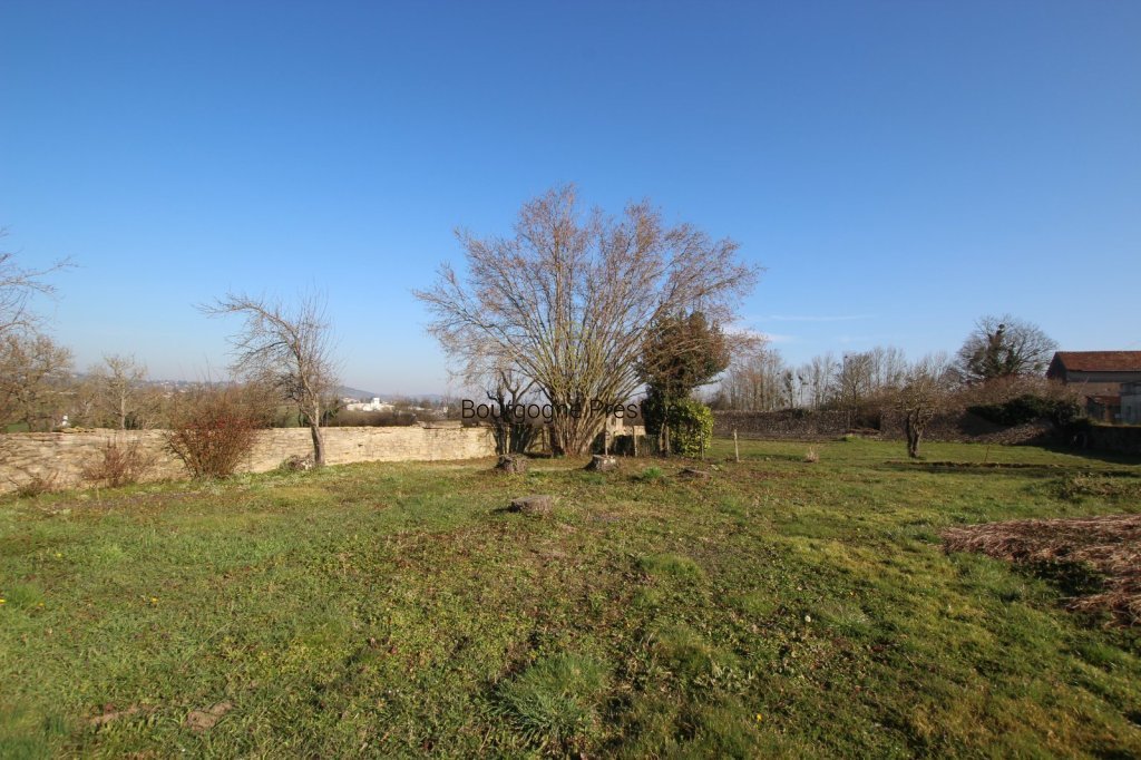TOURNUS, JOLIE MAISON DE 70 M² AVEC DEPENDANCE DE 24 M² POUR UN PETIT GITE- TERRAIN DE 7 605 M² - Photo 4