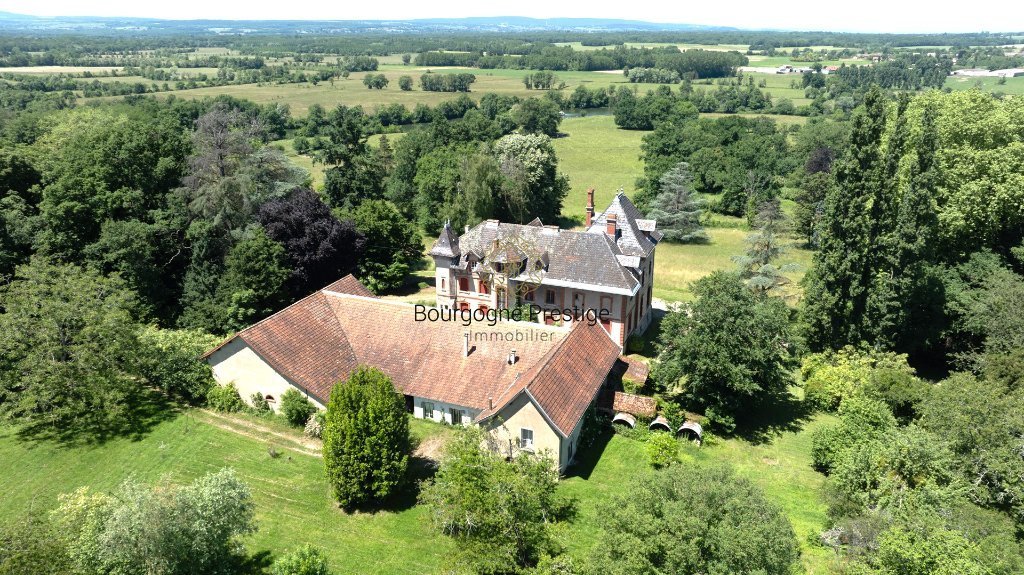 Maison à vendre, 18 pièces, 808 m², Tournus