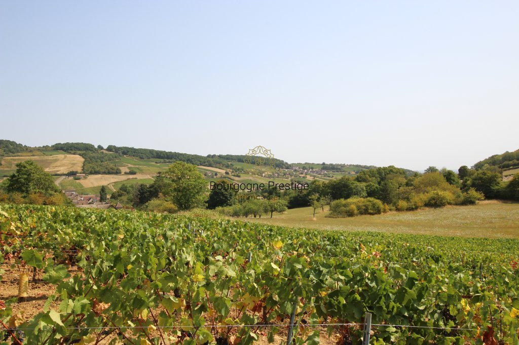 COTE CHALONNAISE, UNE MAISON FAMILIALE DE 292 M² SUR PARC DE 11 531 M² - Photo 3