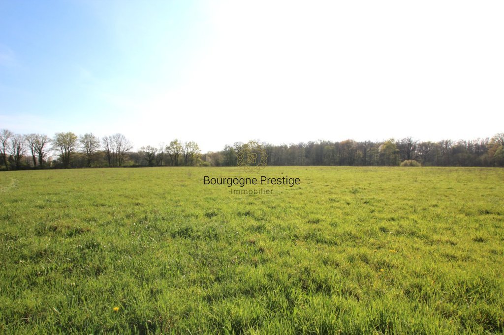 A RENOVER, DOMAINE FAMILIAL AVEC ETANG SUR PLUS DE 7 HECTARES - Photo 5