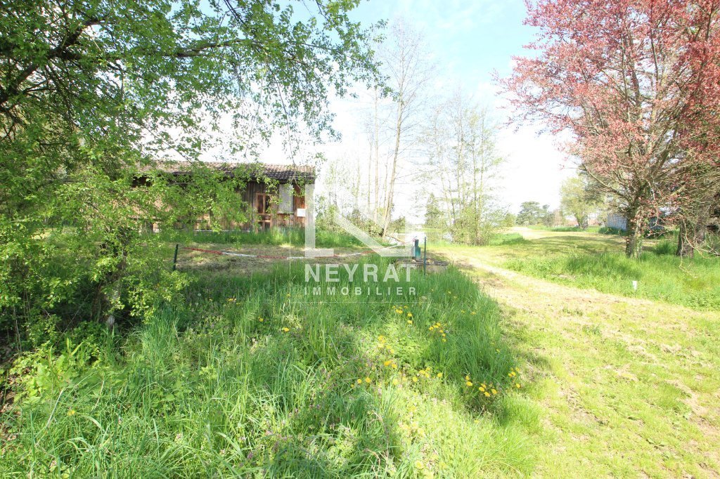 Etang avec sources