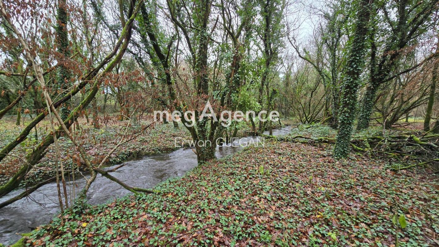 Belle Propriété avec dépendances et parcelle boisée - Photo 4