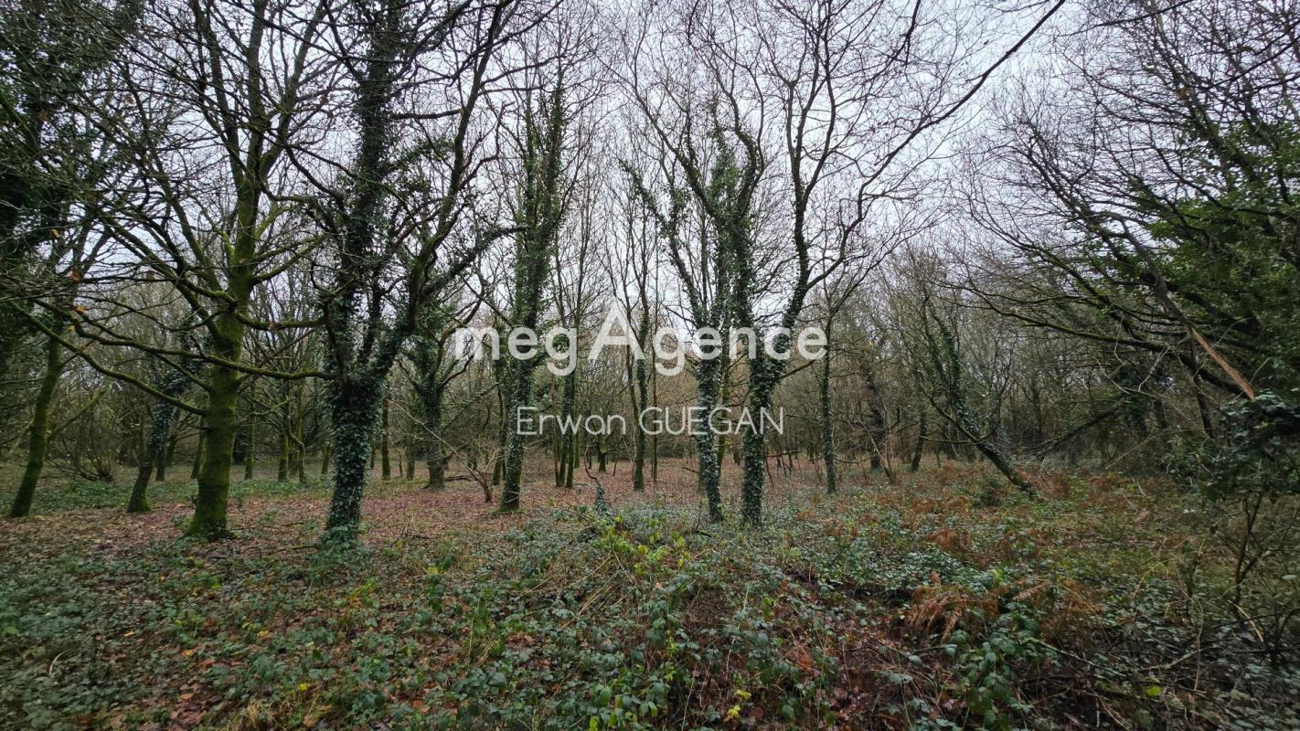 Belle Propriété avec dépendances et parcelle boisée - Photo 5
