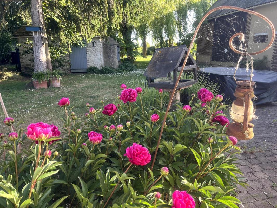 Longère avec grandes dépendances - Photo 2