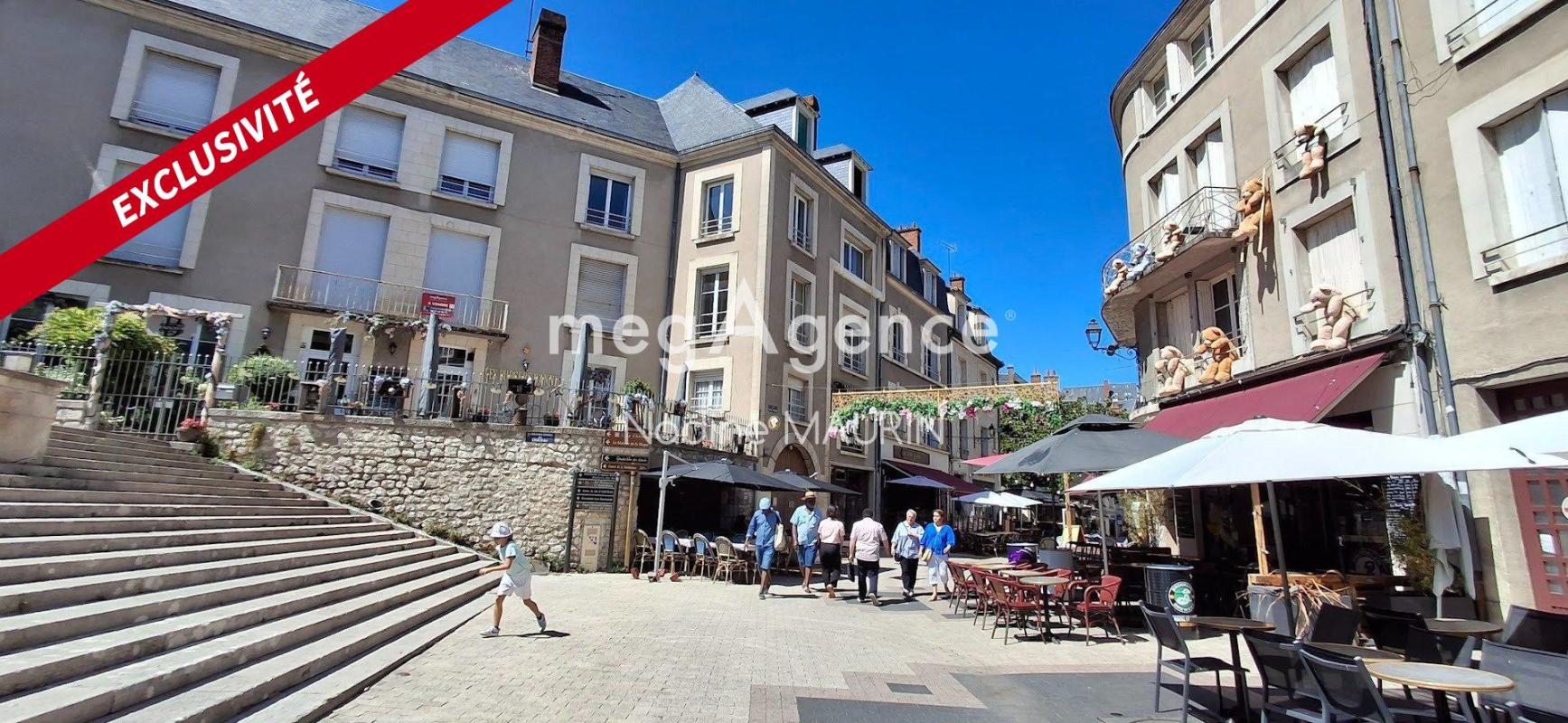 Appartement à vendre, 6 pièces, 192 m², Blois