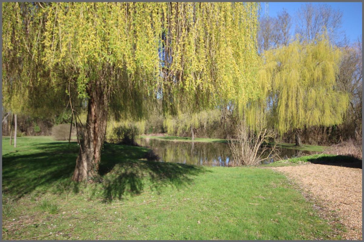 Maison de 60 m2 - Photo 2