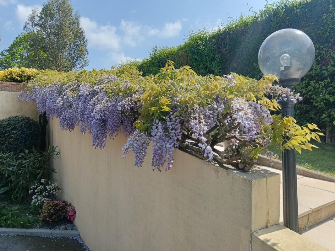 Maison familiale et son jardin arboré - Photo 3