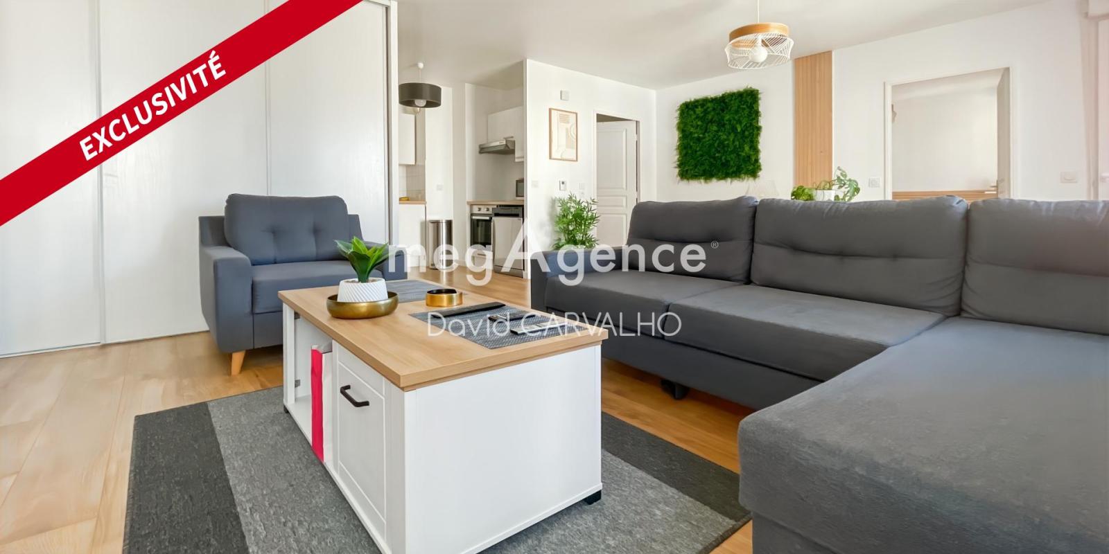 Appartement à vendre, 2 pièces, 55 m², Joue Les Tours