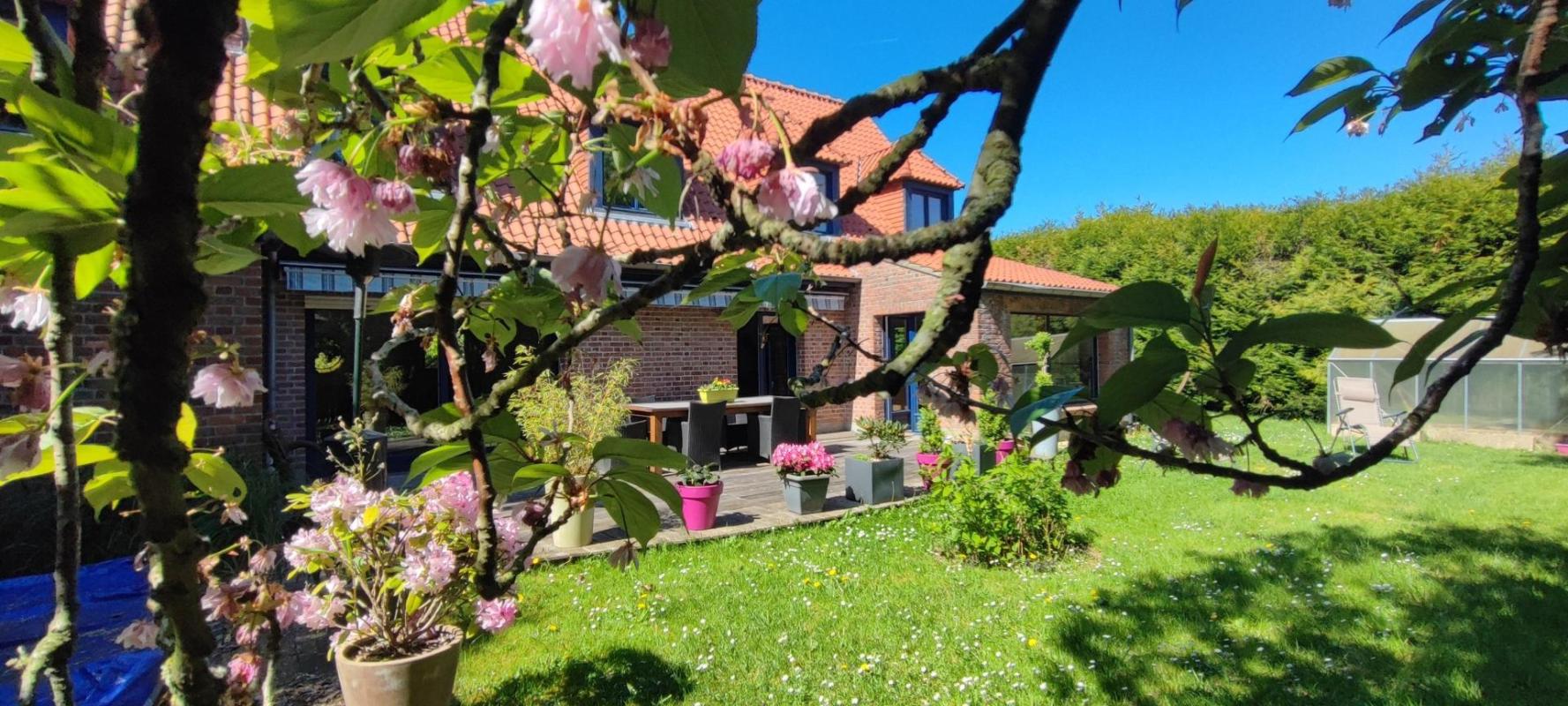 Maison à vendre, 8 pièces, 240 m², Leers