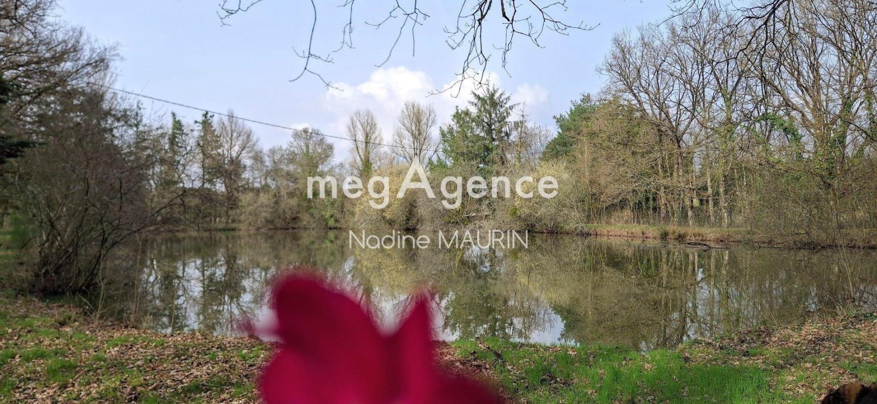 Propriété avec étang et piscine -Mur de Sologne - Photo 4