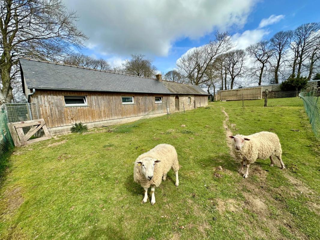 Propriété de 223 m2 sur un terrain clos avec dépendances - Photo 4
