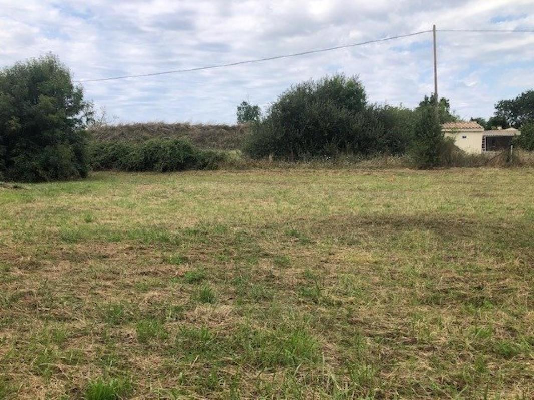 Ensemble immobilier spacieux et calme à 2 km de Marennes centre (17320) - Photo 3