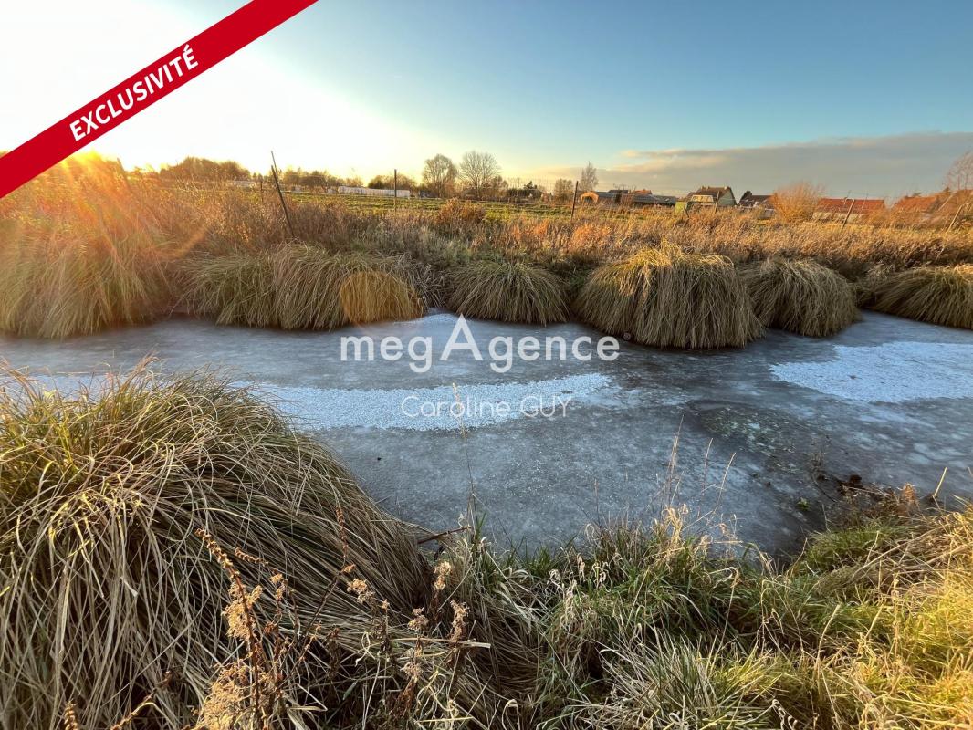 Maison 170 m2 + hangar 500 m2 sur terrain 8500 m2 - Photo 5
