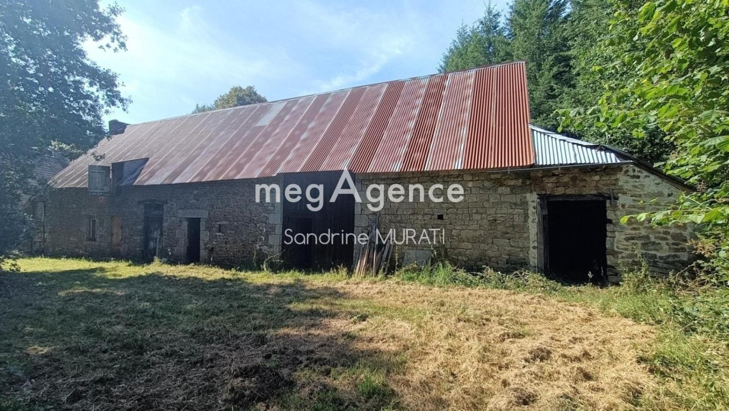 LIGNIERES ORGERES MAISON AVEC PARCELLE PIN DOUGLAS - Photo 3