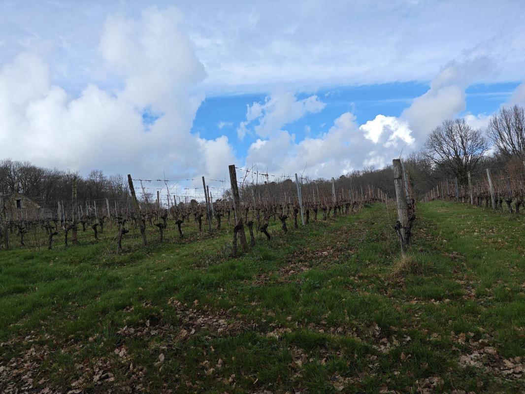 Propriété viticole pécharmant - Photo 4