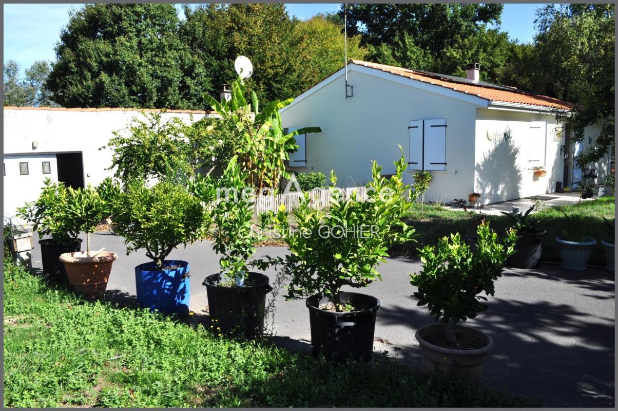 Maison de plain-pied - Photo 4