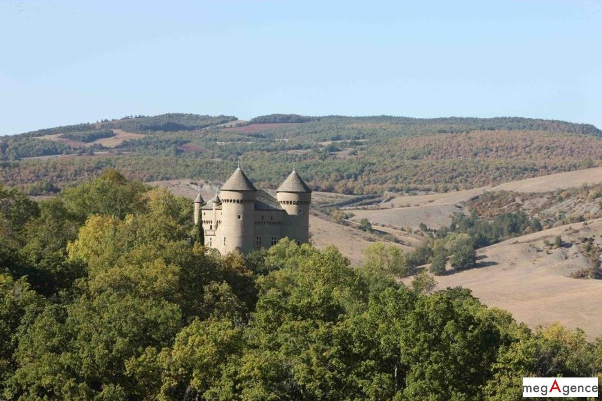 Château avec parc, piscine et salle de réception - Photo 2