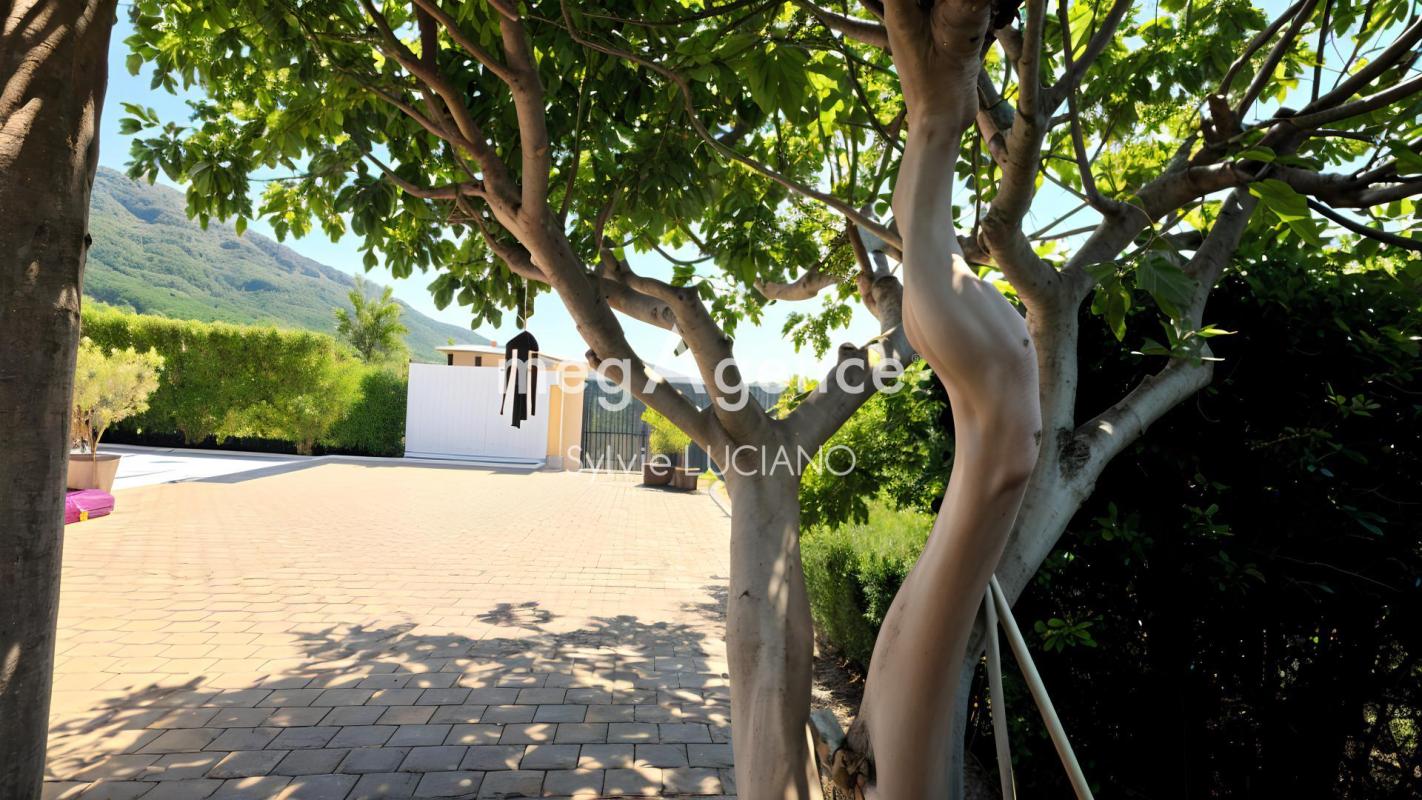 PLAIN PIED, 3 CHAMBRES AVEC PISCINE - Photo 4