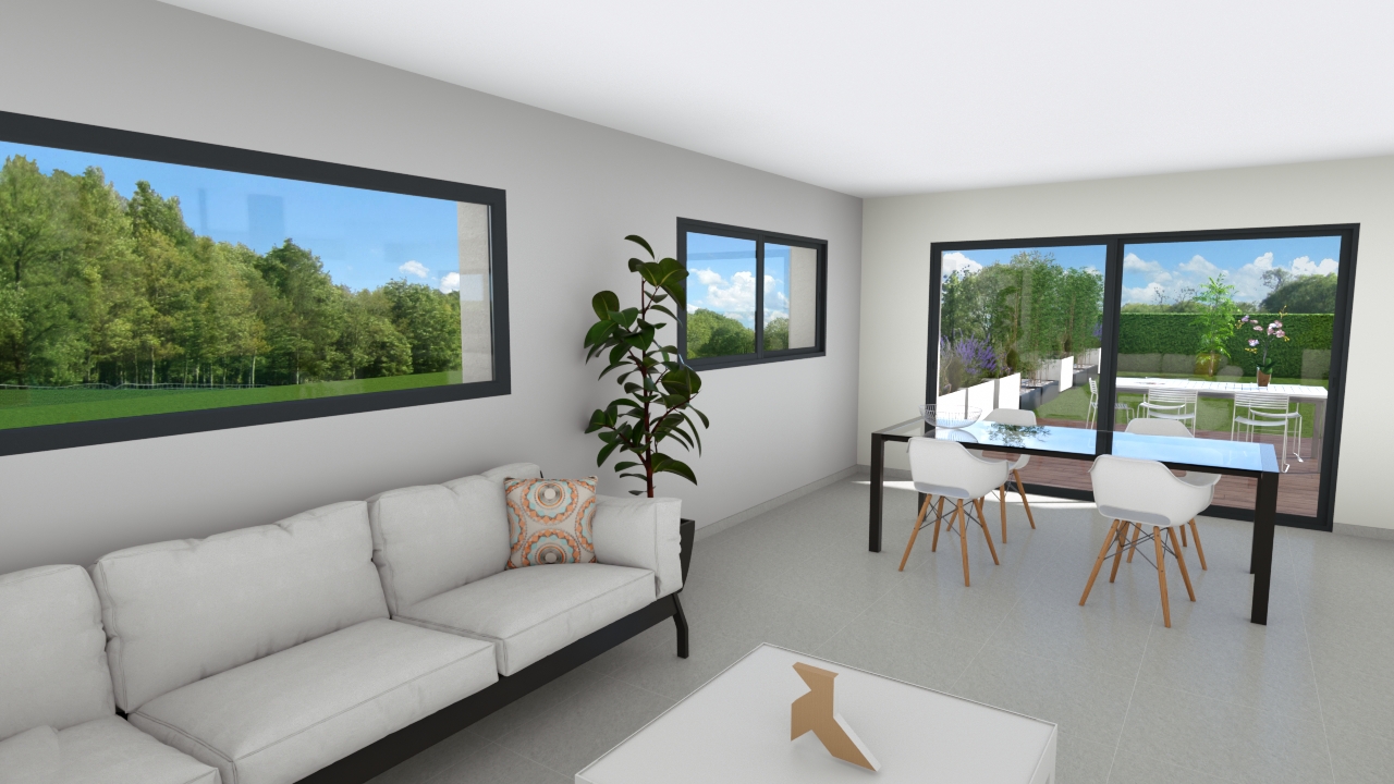 Programme Terrain + Maison