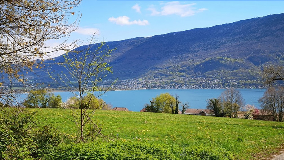 Terrain vue lac
