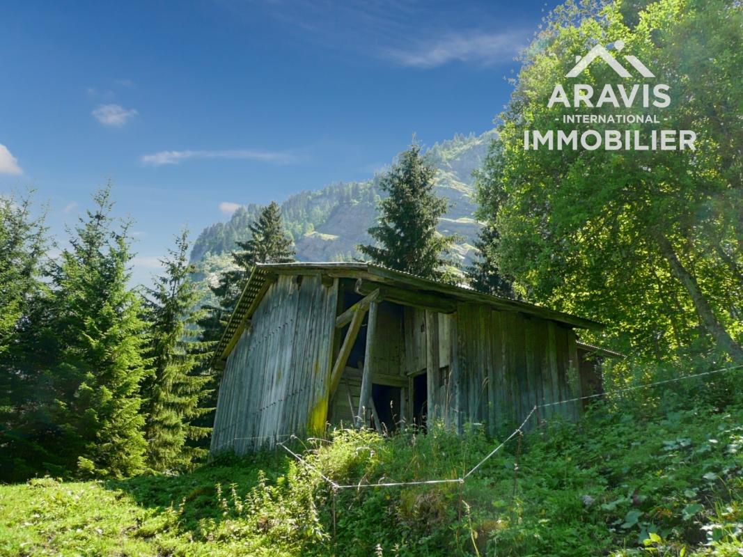 Chalet d'Alpage avec Permis de Construire - Photo 2