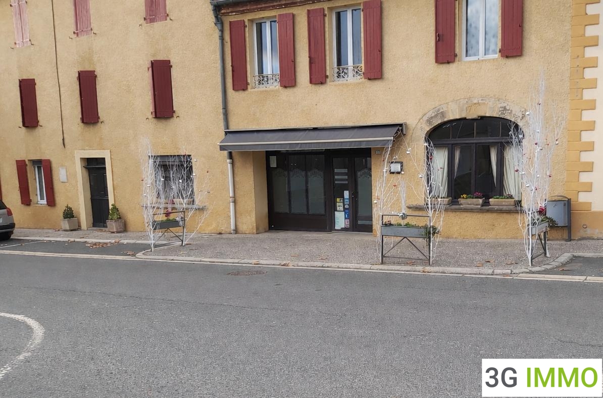 Immeuble 17 pièces