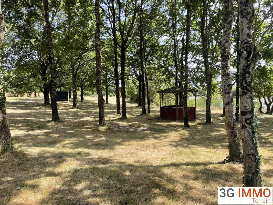 Terrain — Les Pineaux