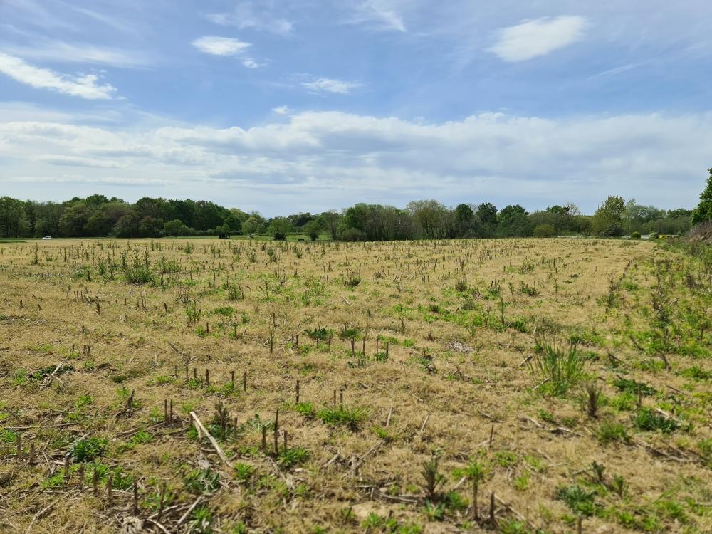 Terrain — Sainte-Marie-de-Gosse