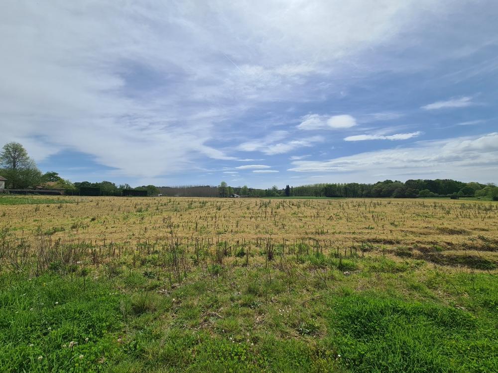 Terrain — Sainte-Marie-de-Gosse