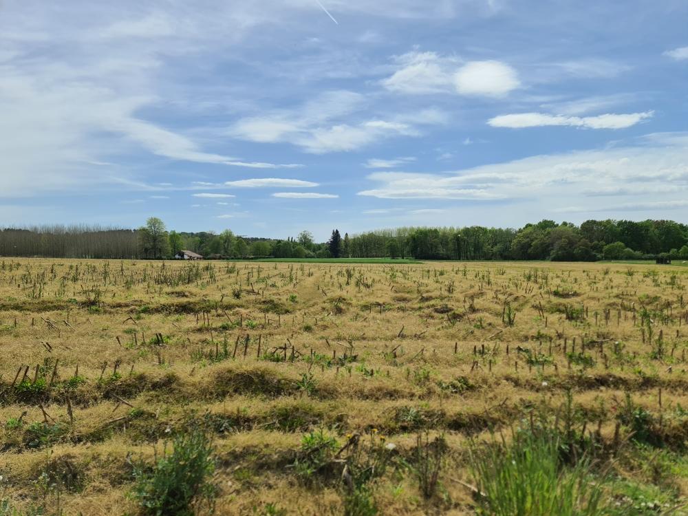 Terrain — Sainte-Marie-de-Gosse